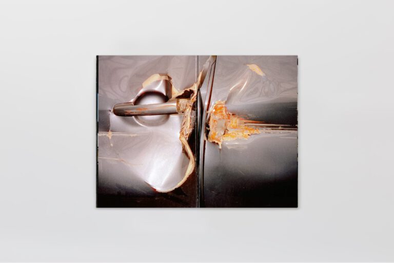 Broken But Shining Alehsy Lambo 3