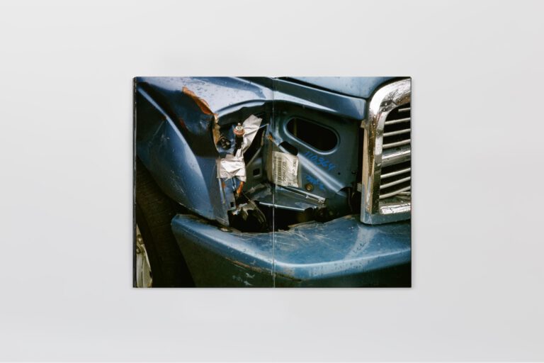 Broken But Shining Alehsy Lambo 6