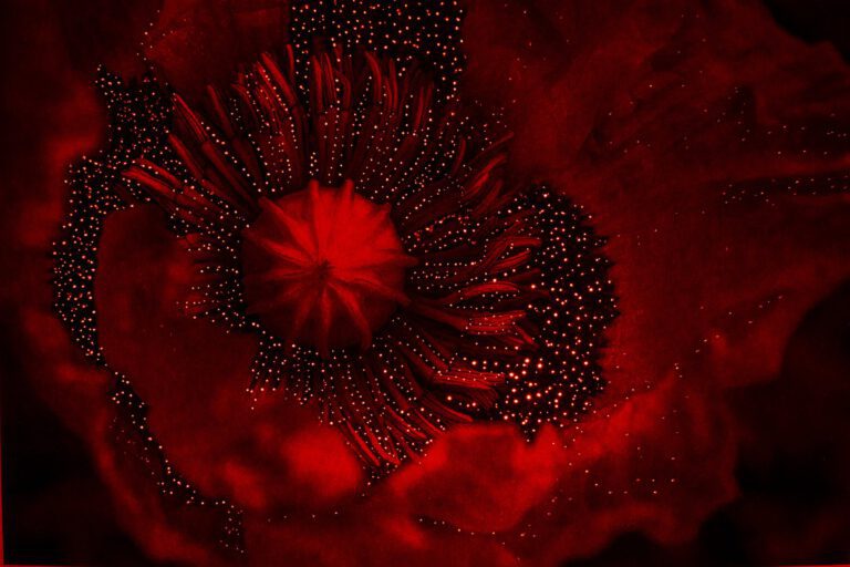 yael-martinez-imagenes-intervenidas-3