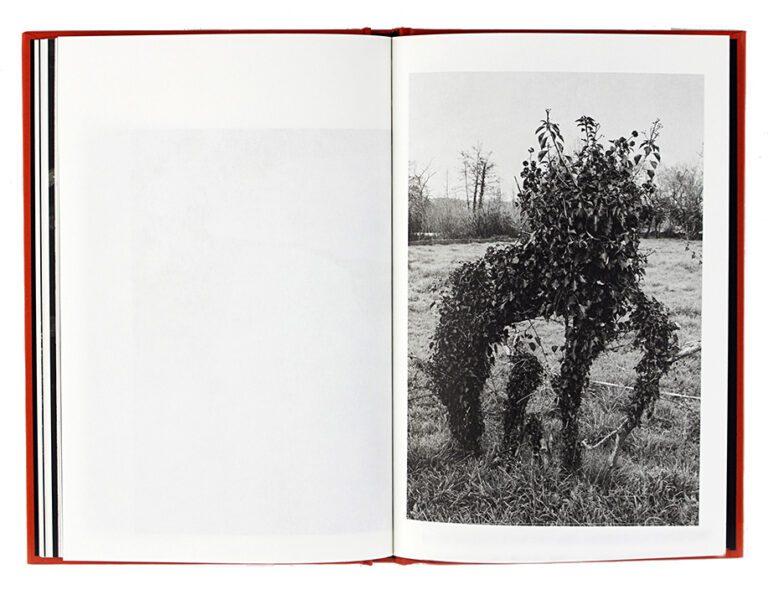 Ros Boisier Inside fotolibro 6