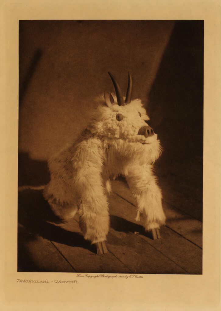 Táwihyilahl - Qágyuhl