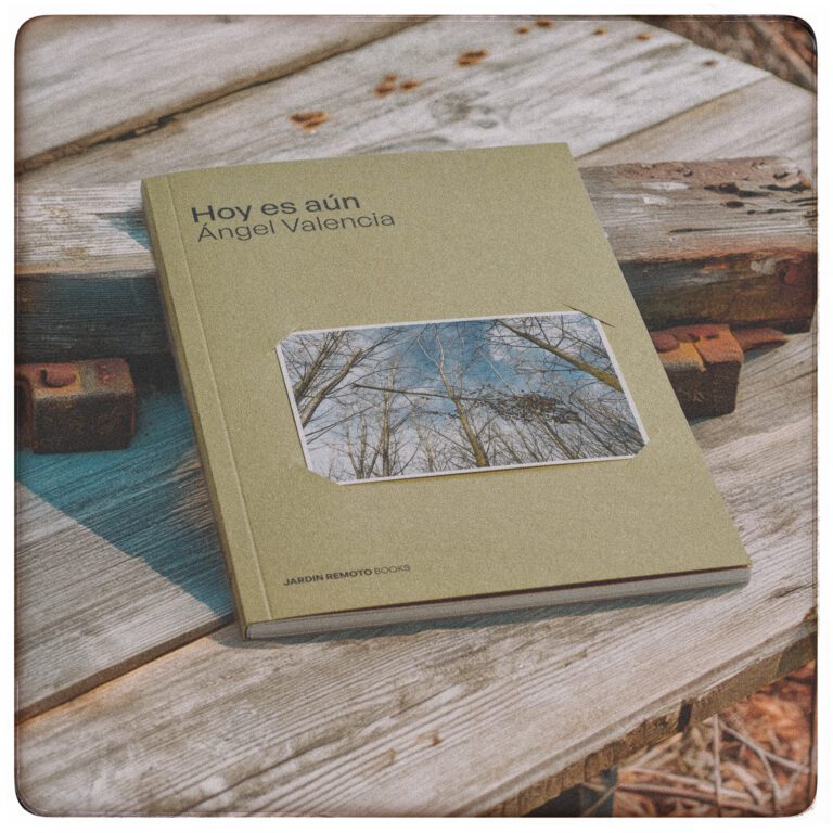 Jardín Remoto Books Vol.3 Hoy es aún Ángel Valencia secuencia-18