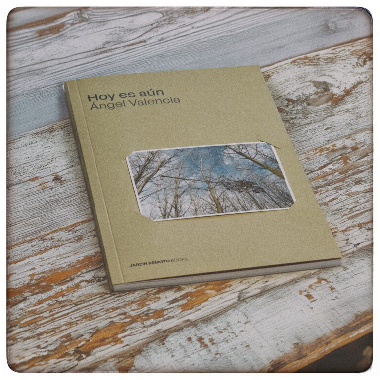 Jardín Remoto Books Vol.3 Hoy es aún Ángel Valencia secuencia-19