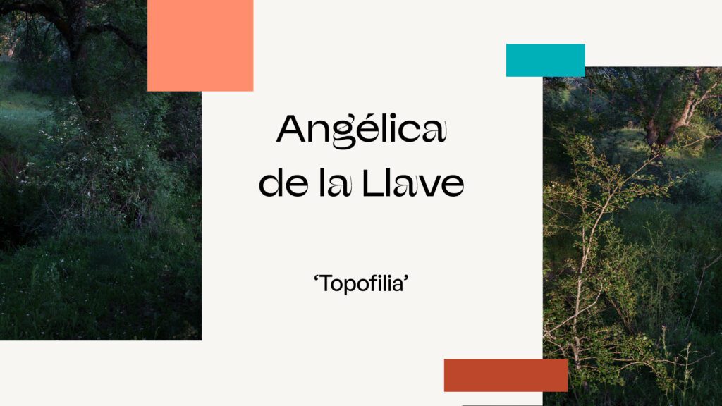 Portada del fotolibro Topofilia de Angélica de la Llave con un paisaje minimalista de horizontes abiertos.