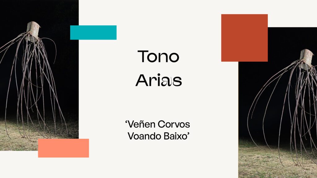 Portada del fotolibro Veñen Corvos Voando Baixo de Tono Arias con diseño gráfico y tipografía destacada