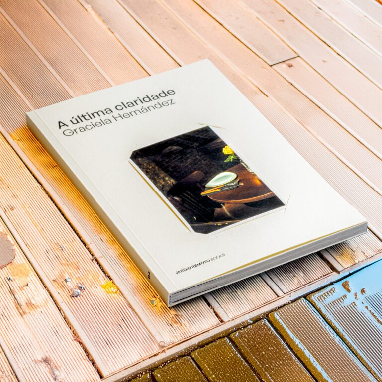 A última claridade Graciela Hernández 11