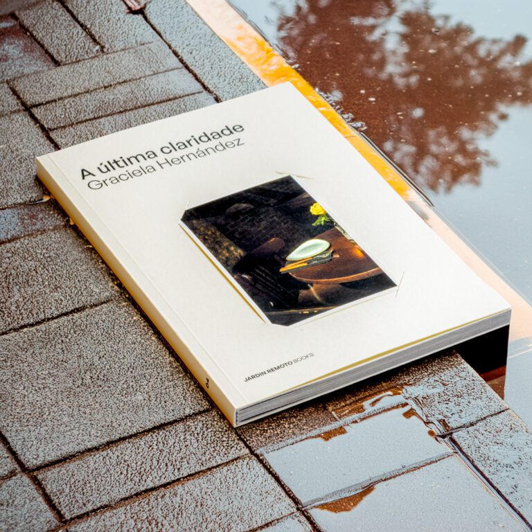 A última claridade Graciela Hernández 12