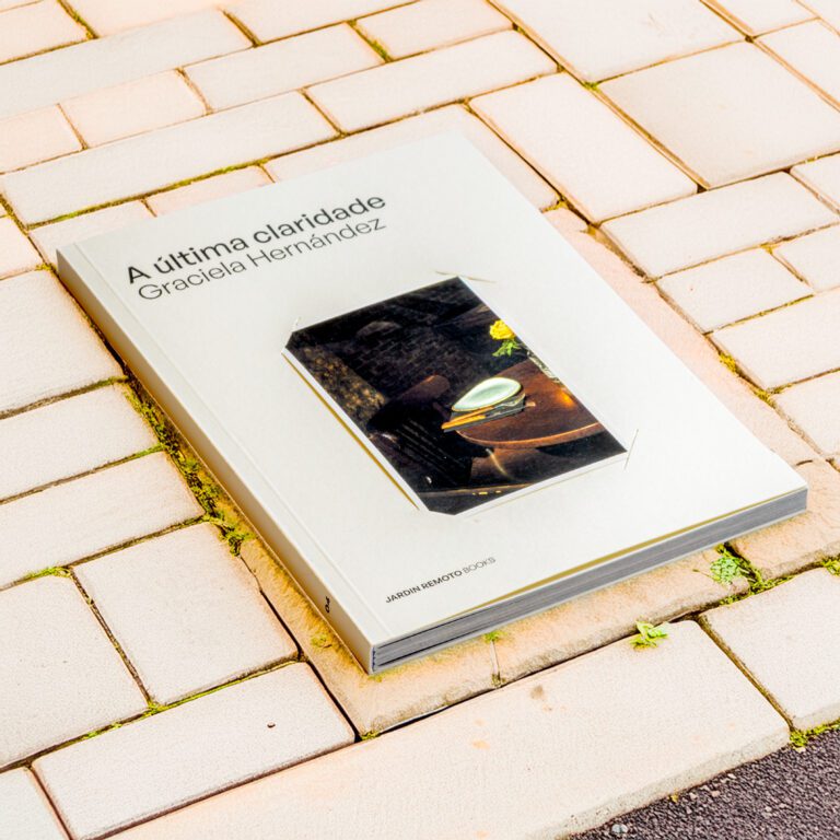 A última claridade Graciela Hernández 13