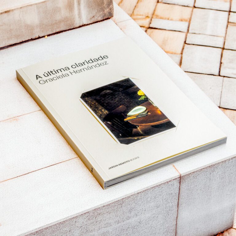 A última claridade Graciela Hernández 14