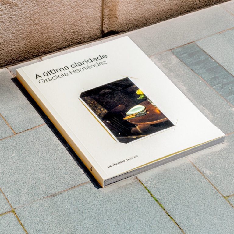 A última claridade Graciela Hernández 15