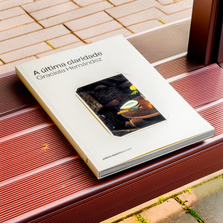 A última claridade Graciela Hernández 3