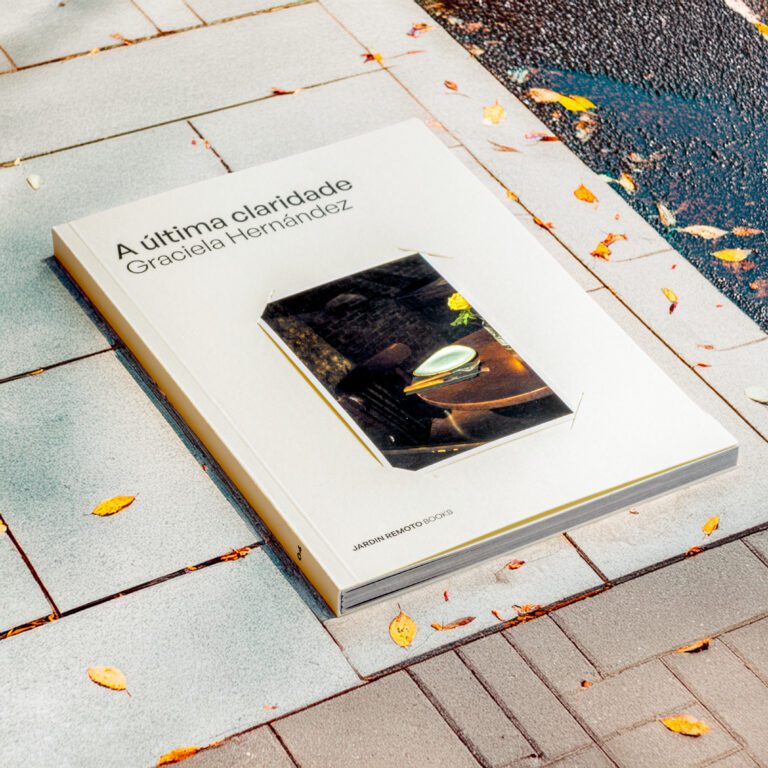 A última claridade Graciela Hernández 8