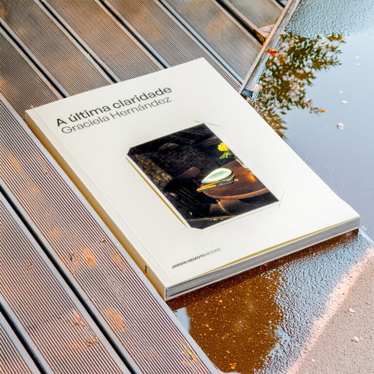 A última claridade Graciela Hernández 9