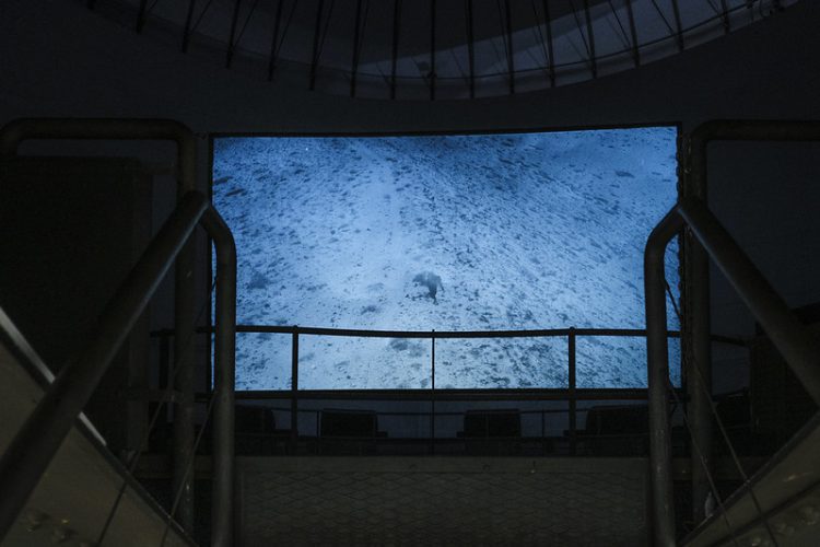 50969553633_360aaafd3b_c