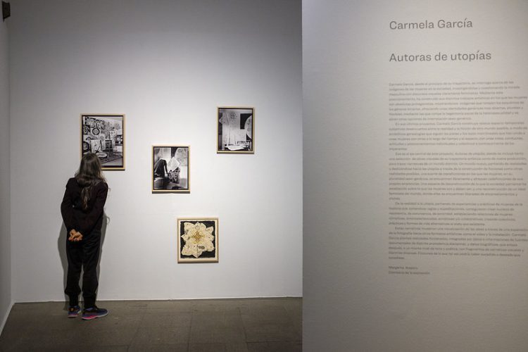 50969560428_f8e657e0ba_c