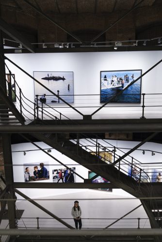 50969561103_b6c026fd33_c