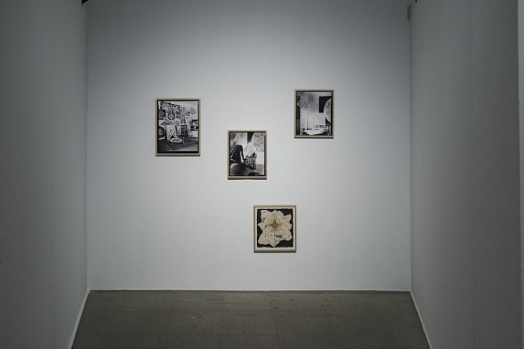 50970258006_f8bc307857_c