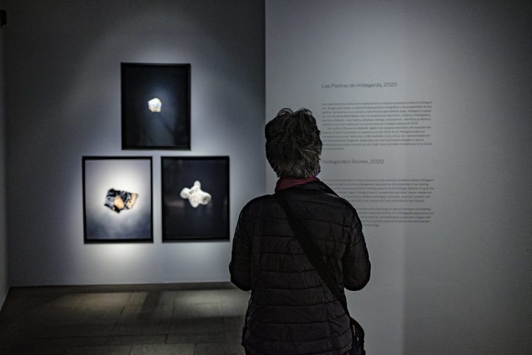 50970259946_20e0eede19_c