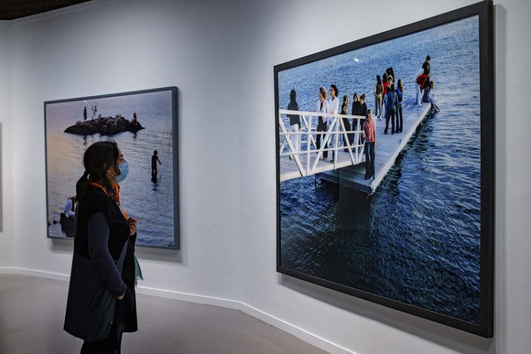 50970260121_71b9c5abd2_c