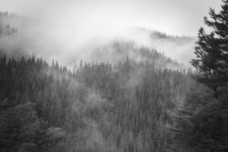 Ana Kangae_Sin alas_02