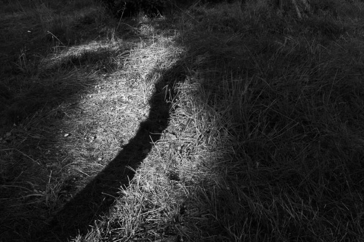 Ana Kangae_Sin alas_15