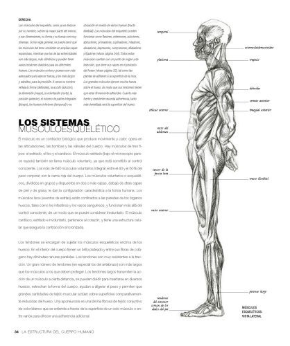 Anatomia_artista_2025_Página_06