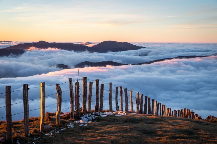 Ahadi - Pierre Balacey