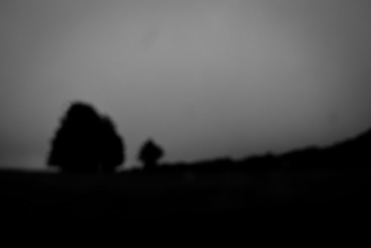 Carlos Moyano Ceniza-1