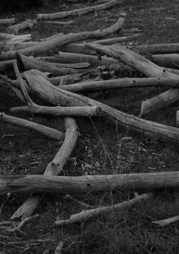 Carlos Moyano Ceniza-10