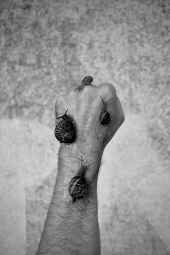 Carlos Moyano Ceniza-11