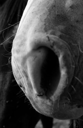 Carlos Moyano Ceniza-17