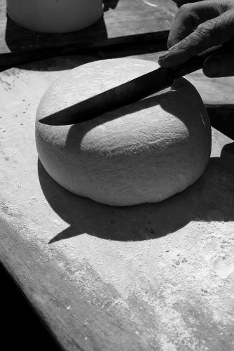 Carlos Moyano Ceniza-18