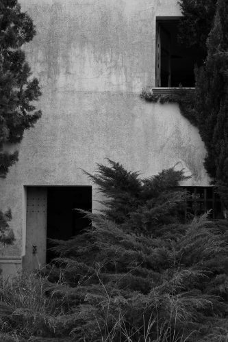 Carlos Moyano Ceniza-22