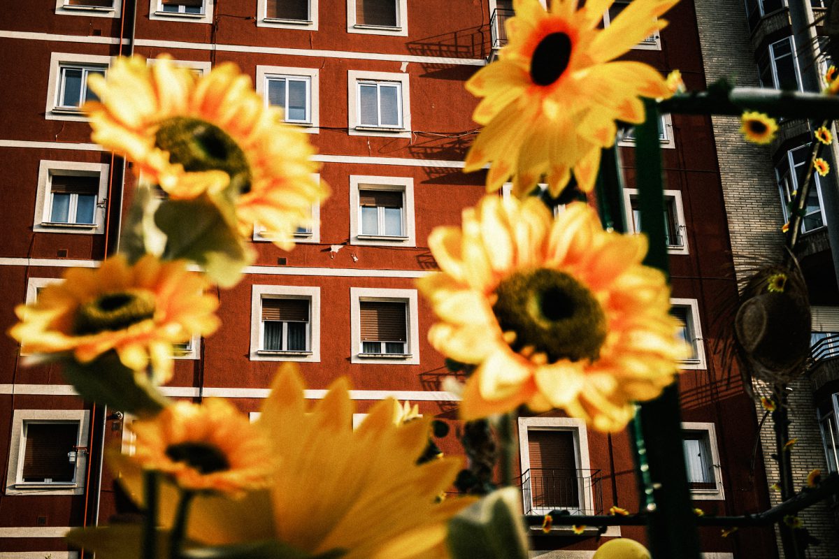 Foto: G. Bravo (taller de 2025)