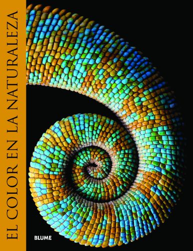 Color_naturaleza_Página_01