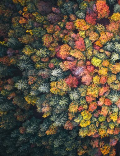 Color_naturaleza_Página_02