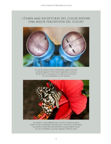 Color_naturaleza_Página_11