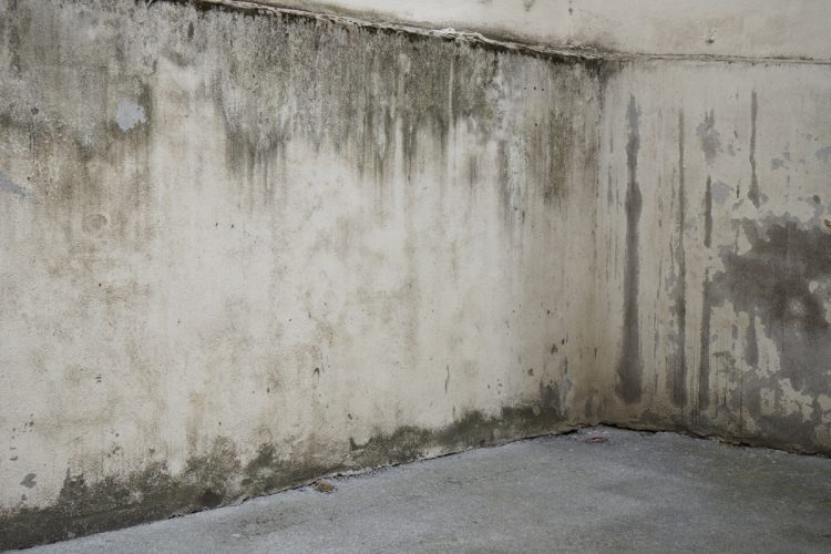 Foto: Adirane Azkuenaga