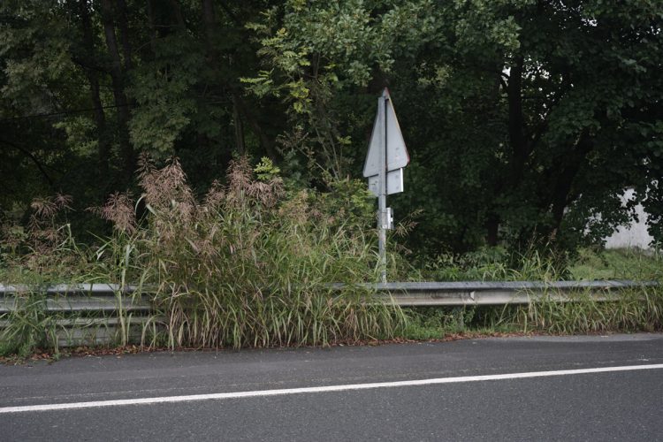 Foto: Adirane Azkuenaga