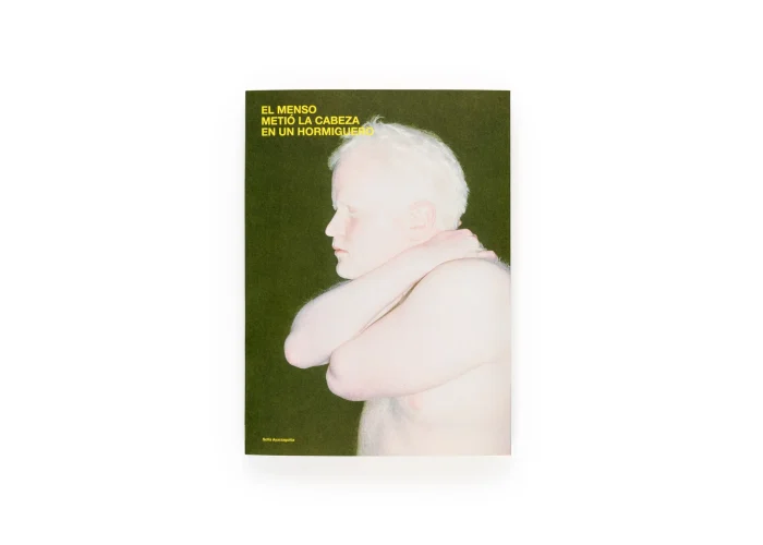 Portada del fotolibro El menso metió la cabeza en un hormiguero de la fotógrafa Sofía Ayarzagoitia, publicado por Dalpine