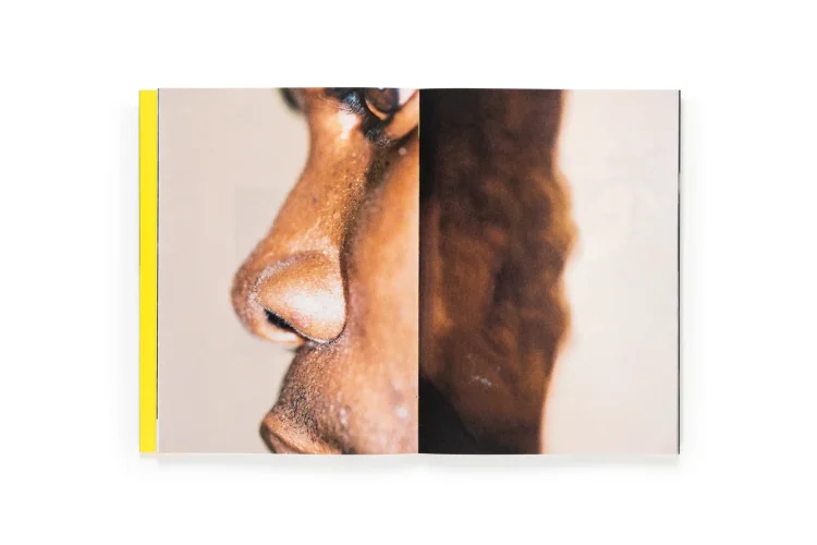 Portada del fotolibro El menso metió la cabeza en un hormiguero de la fotógrafa Sofía Ayarzagoitia, novedad editorial de Dalpine