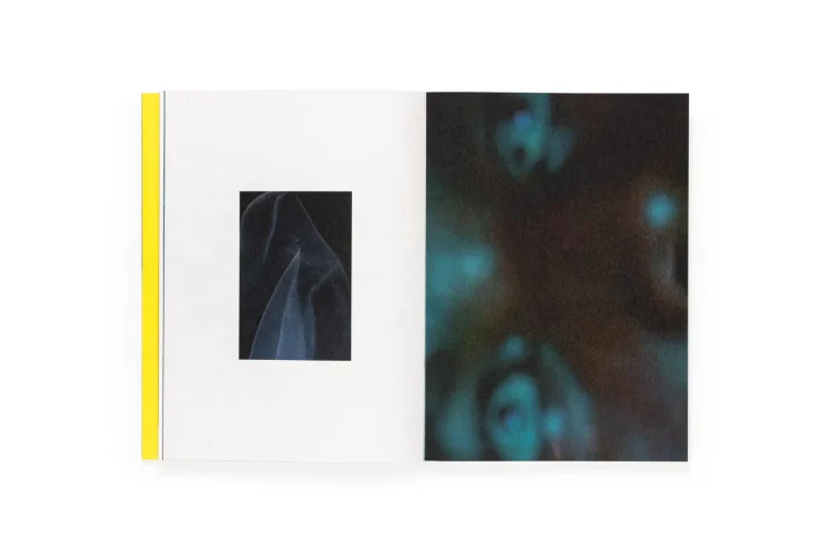 Portada del fotolibro El menso metió la cabeza en un hormiguero de la fotógrafa Sofía Ayarzagoitia, novedad editorial de Dalpine