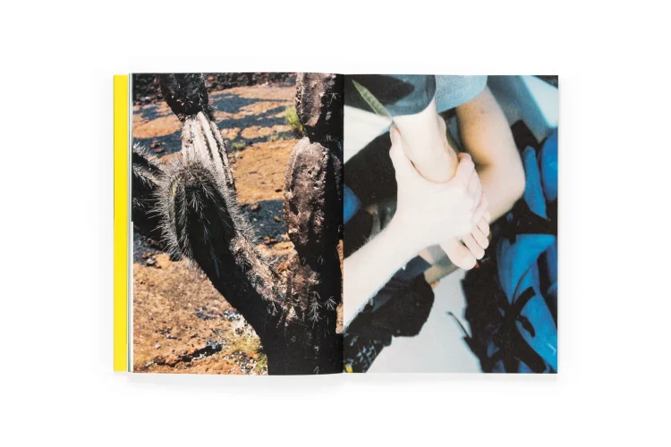 Portada del fotolibro El menso metió la cabeza en un hormiguero de la fotógrafa Sofía Ayarzagoitia, novedad editorial de Dalpine