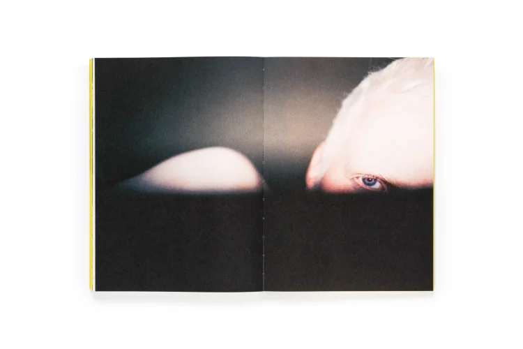 Portada del fotolibro El menso metió la cabeza en un hormiguero de la fotógrafa Sofía Ayarzagoitia, novedad editorial de Dalpine