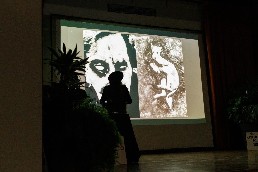 Experience 2025 Pako Pimienta-7