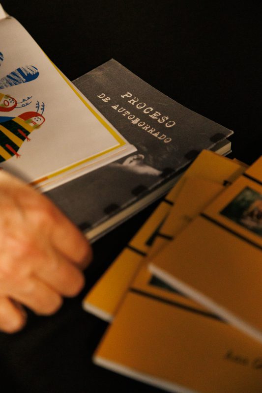 Experience 2025 Teatro Elena Pedrosa-11