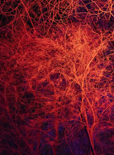 Maria Torija Espiral-13