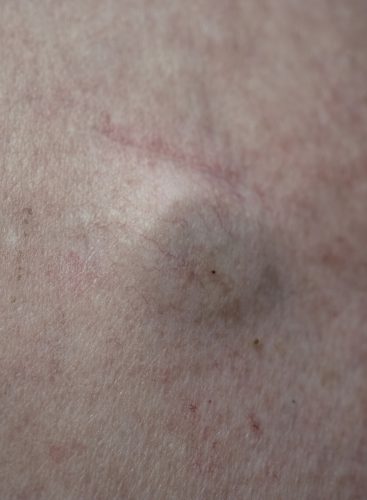 Maria Torija Espiral-17