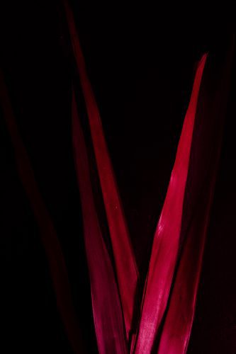 Maria Torija Espiral-18