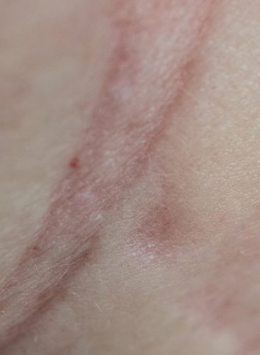 Maria Torija Espiral-2